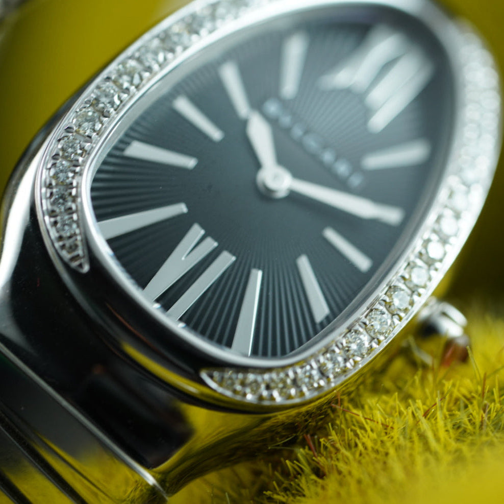 Bvlgari Serpenti SP 35 S 102824 AM Diamonds Single Spiral Black Dial Unworn 2021