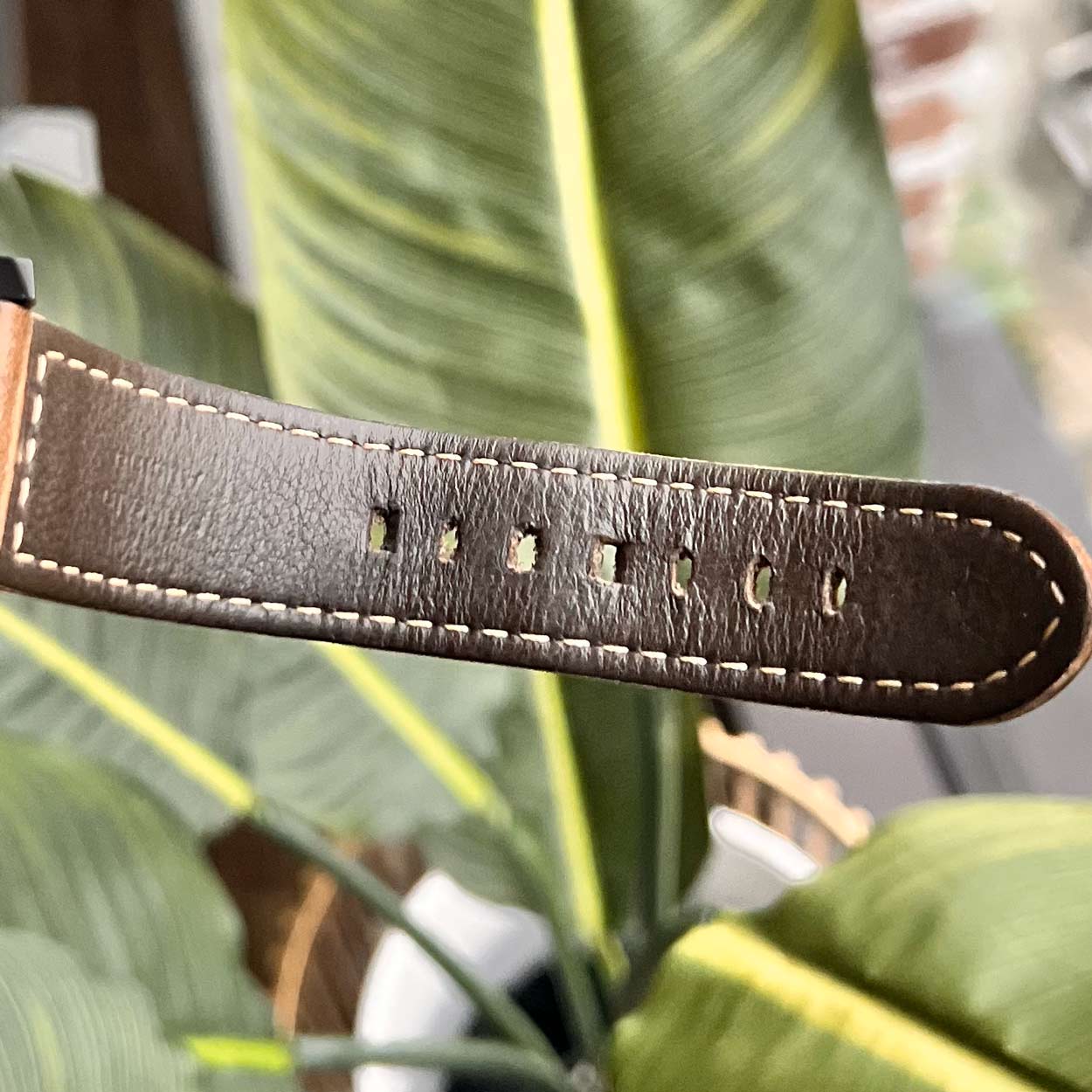 Panerai Luminor GMT PAM01441 Ceramic 44mm PAM 1441 Ceramica | Preowned