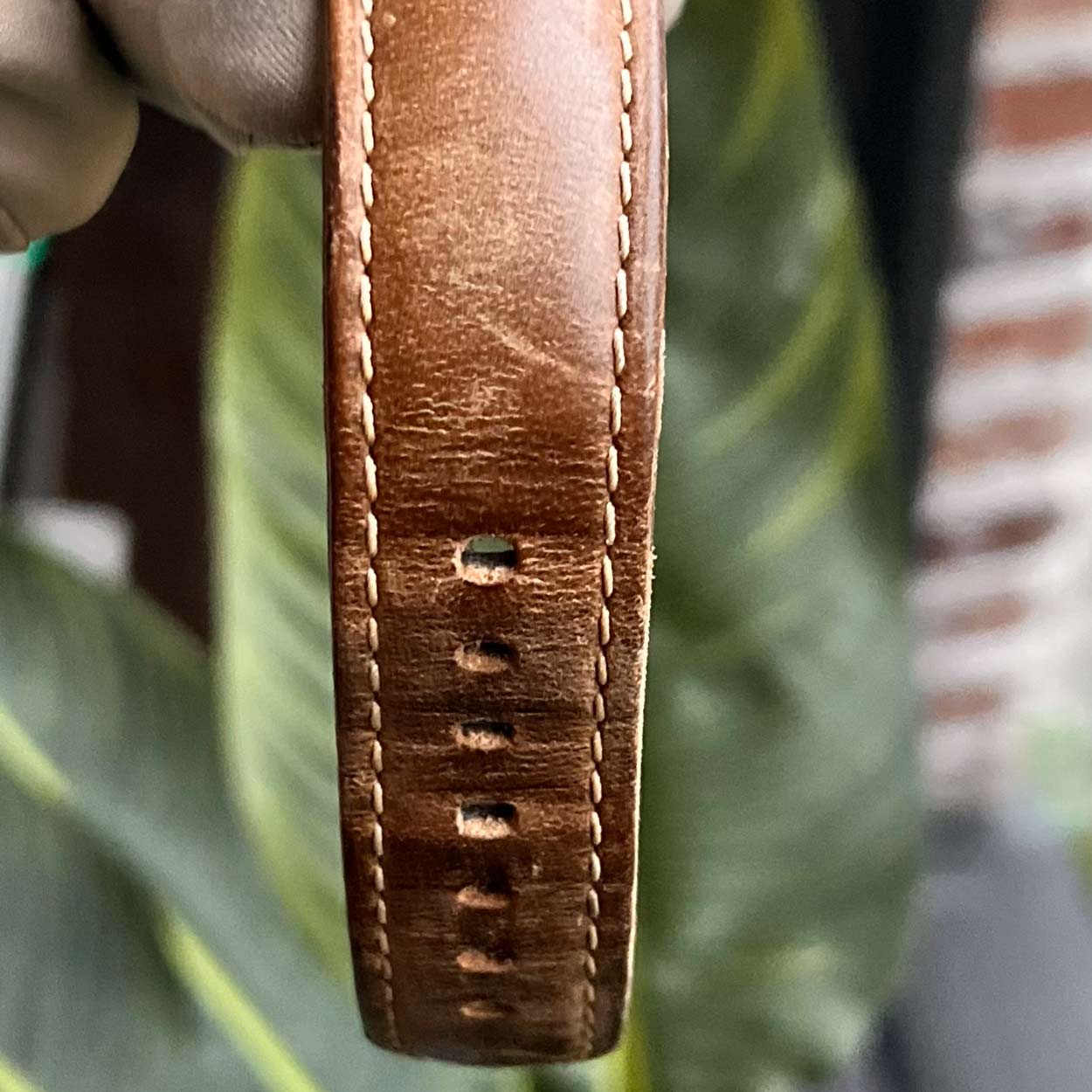 Panerai Luminor GMT PAM01441 Ceramic 44mm PAM 1441 Ceramica | Preowned
